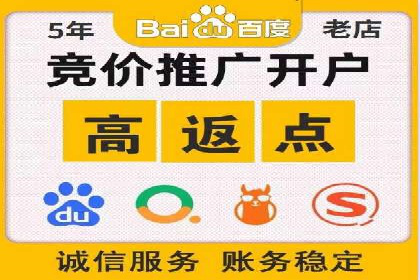 搜索引擎优化（SEO）在百度上的应用案例研究